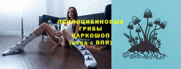 хмурый Вязьма