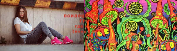 мдпв Вязники