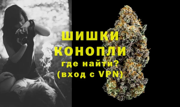мдпв Вязники