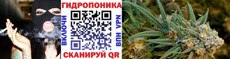 Купить закладки Лесной Каннабис планчик